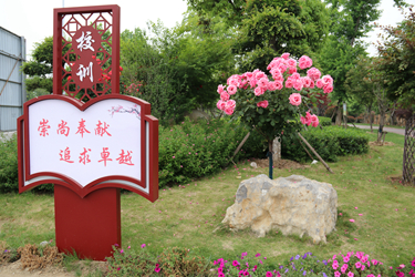 校园美景